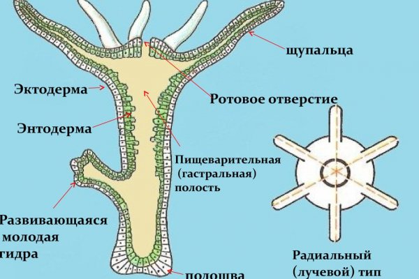 Сайты по продаже наркотиков