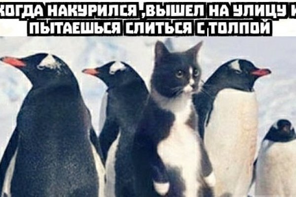 Кракен оф